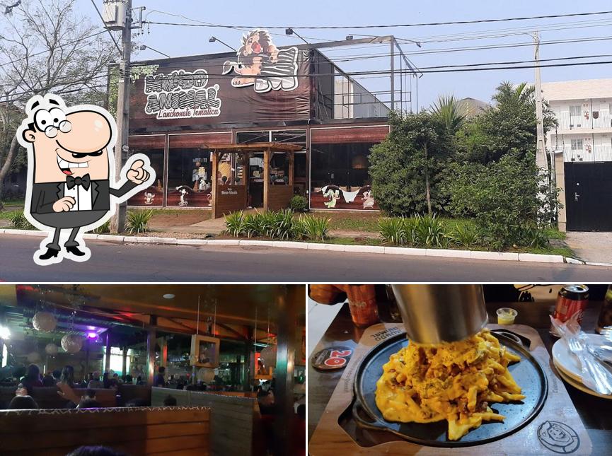 A imagem da exterior e comida no Mundo Animal - Canoas