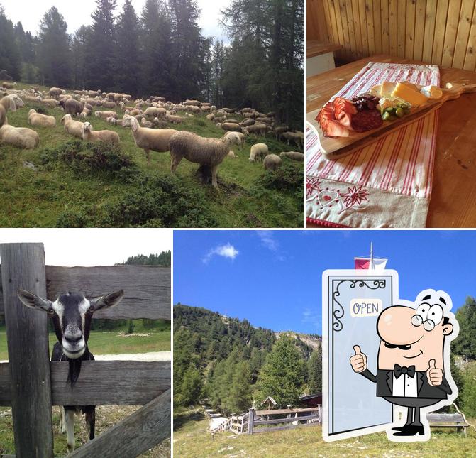 Guarda questa immagine di Planfistì