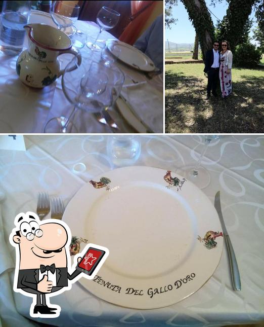 Tenuta del Gallo d'Oro