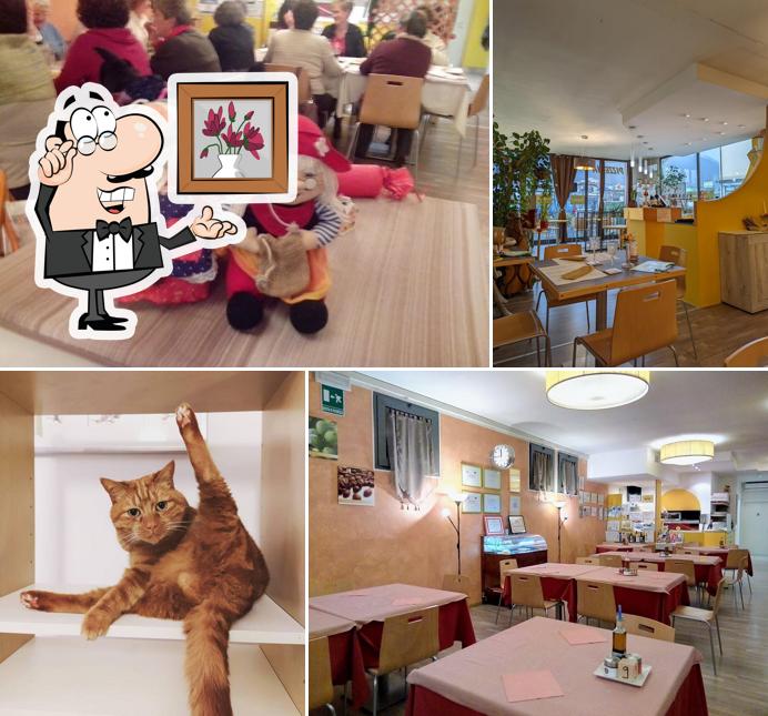 Gli interni di Ulla Peppa! - Trattoria Pizzeria