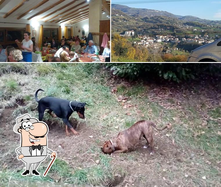 Puoi goderti l'aria fresca dal dehors di Agriturismo C'era una volta