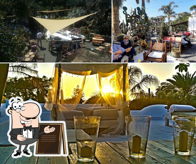 Cactus Lounge "Secret Aperitif"