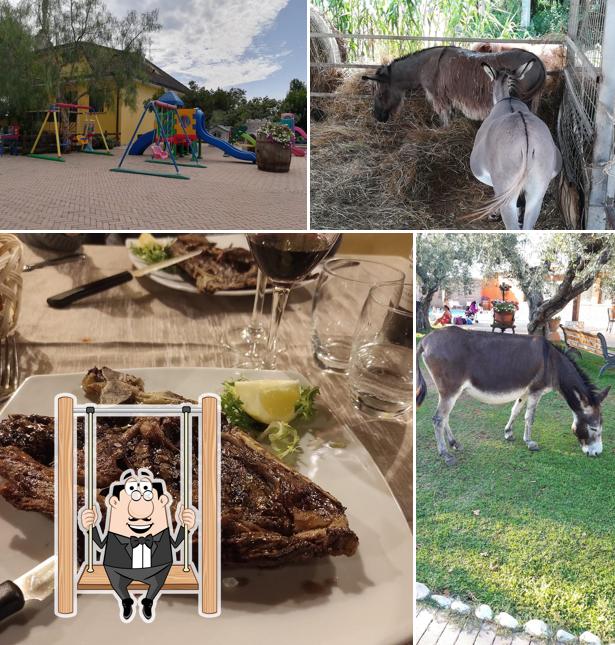 Agriturismo La piana dell'Erika