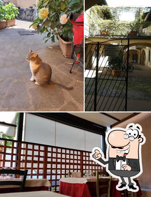 Dai un’occhiata alla foto che raffigura la esterno e interni di Ristorante Baroni