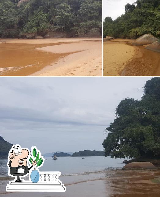 O exterior do Peixe Maluco