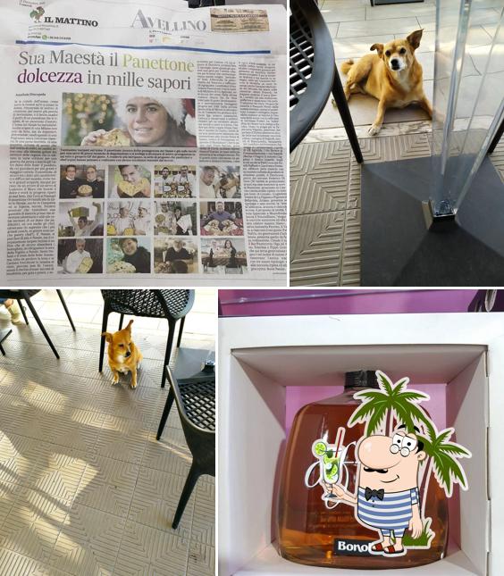 Immagine di Bar Gallo