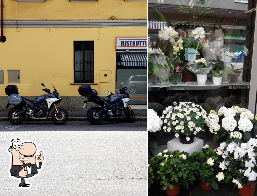 Immagine di Bar Tabaccheria Grillo - Partner Elfbar Lost Mary