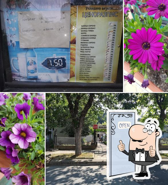 Закусвалня Амадеус