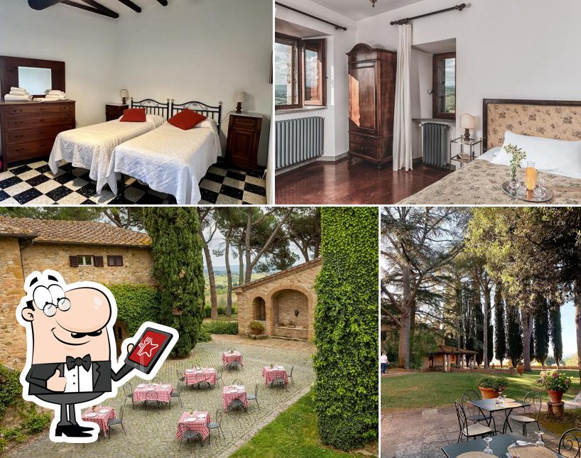 Agriturismo La Torre alle Tolfe | Wine & Oil si caratterizza per la esterno e interni