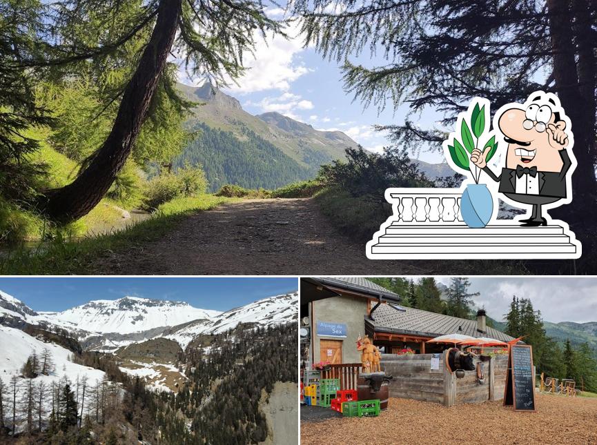 Gli esterni di Alpage du Sex Restaurant