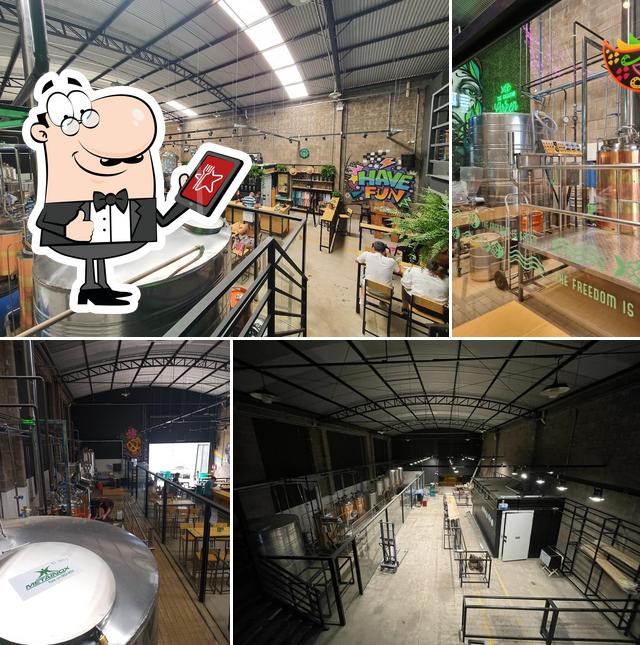 Green Fish Brewing Co.