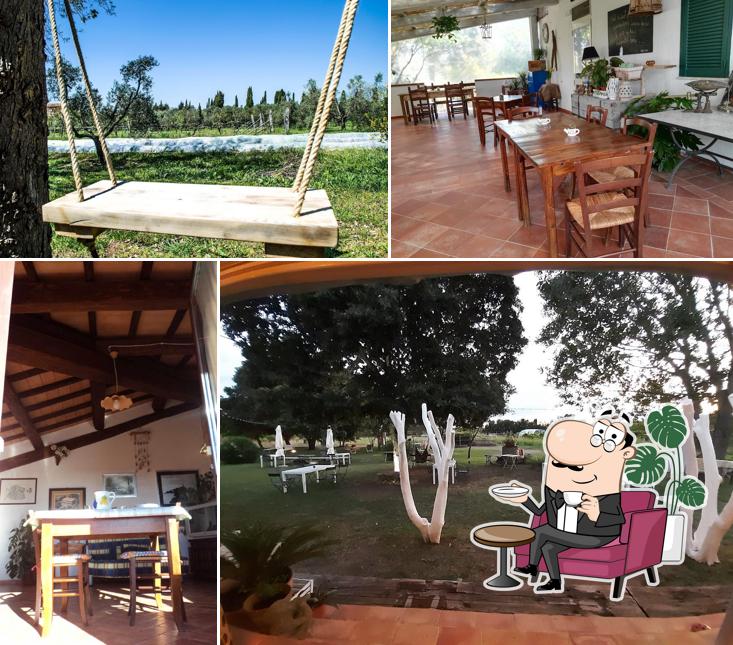 Dai un'occhiata agli interni di Villa Enli