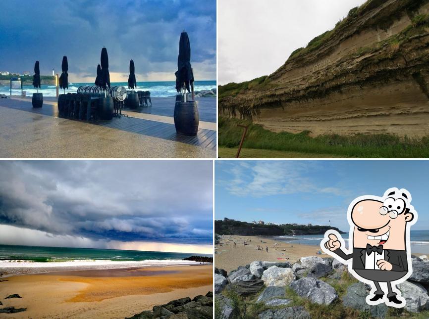 Paillotte Lagunak Anglet