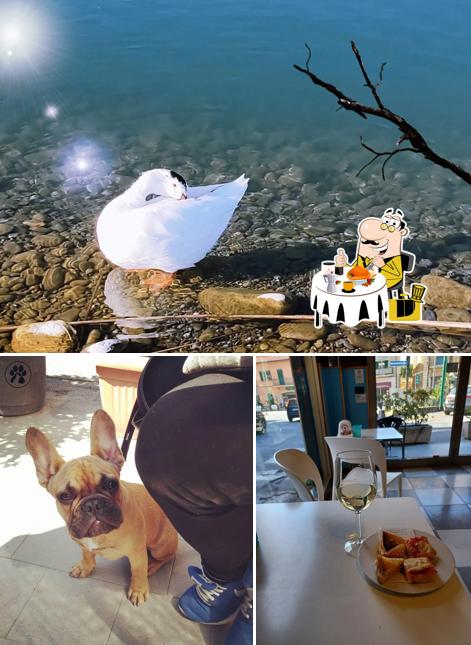 La immagine della cibo e esterno di Bar dei Fiori