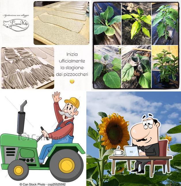 Gli interni di Cascina Volpi