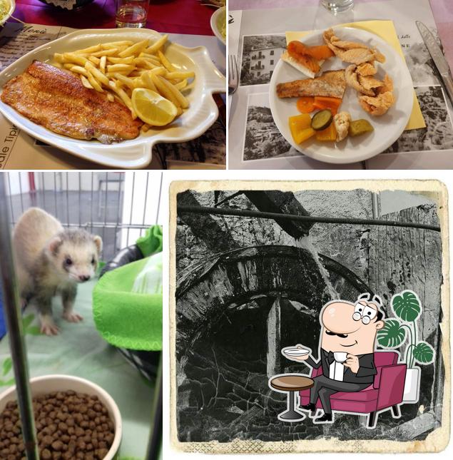 Dai un'occhiata agli interni di Locale Tipico Sorne