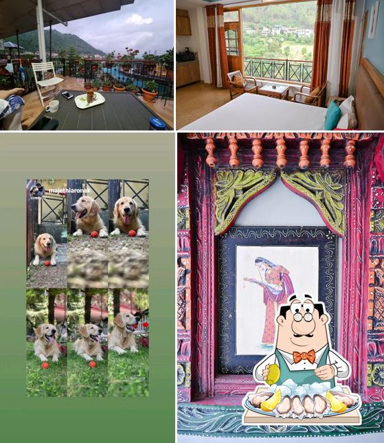 Oysters at Nandini Villa