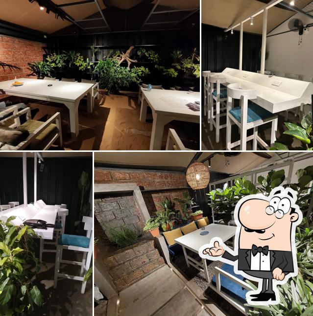 Check out how Urban Forest looks inside