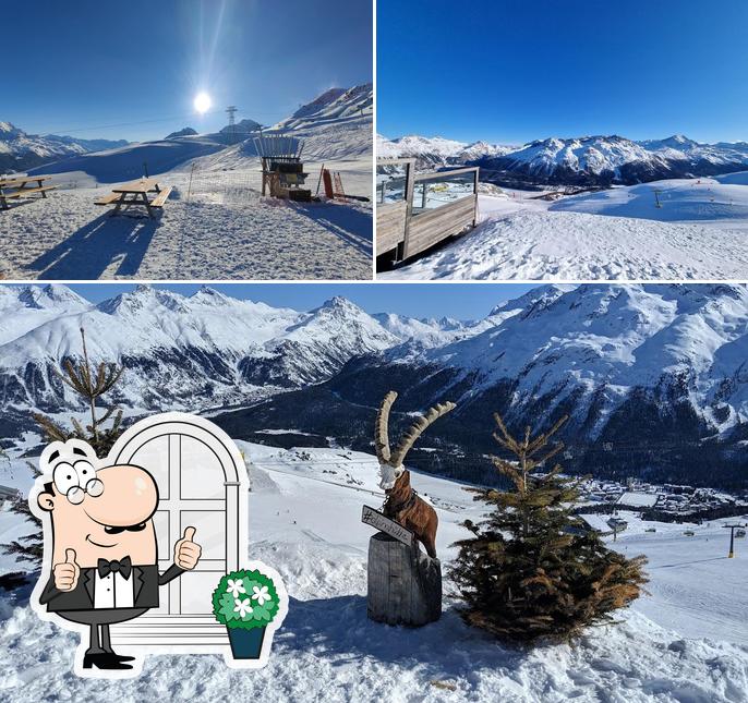 Curiosa tra gli esterni di Alpina Hütte