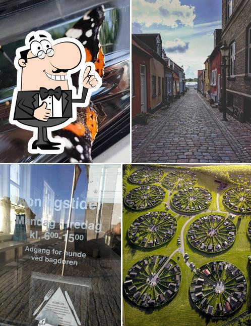 Kaffevognen Nykøbing Falster
