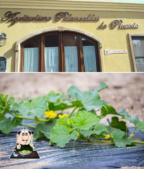 Cibo al Agriturismo Pinuccia