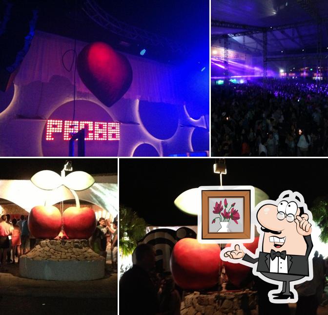 Pacha