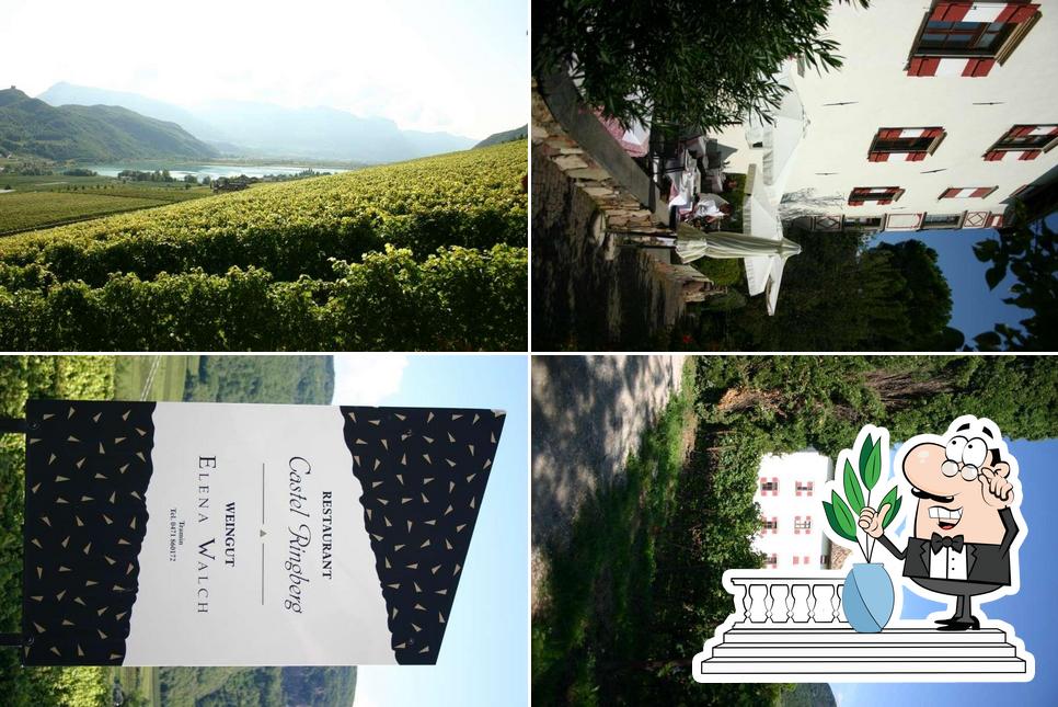 Castel Ringberg - Weingut, Vinothek & Gutsschenke