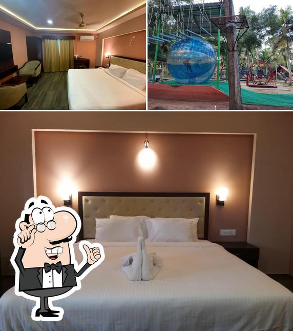 GoGo Land Resort and Adventurous Sports is distinguished by interior and play area