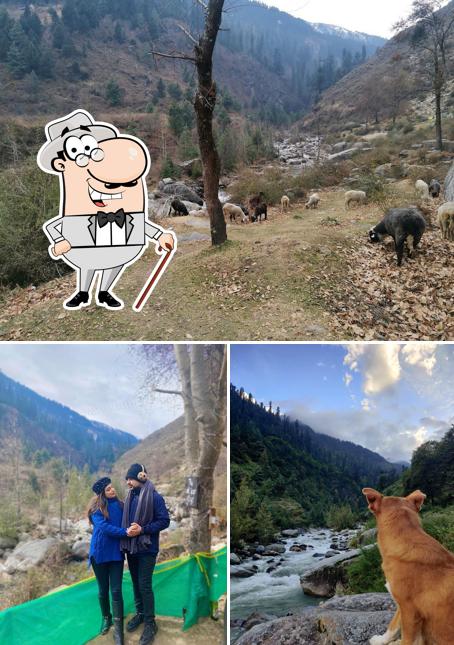 Check out how The Last Stop Riverside Camps, Cottage, Cafe, & Hostel looks outside