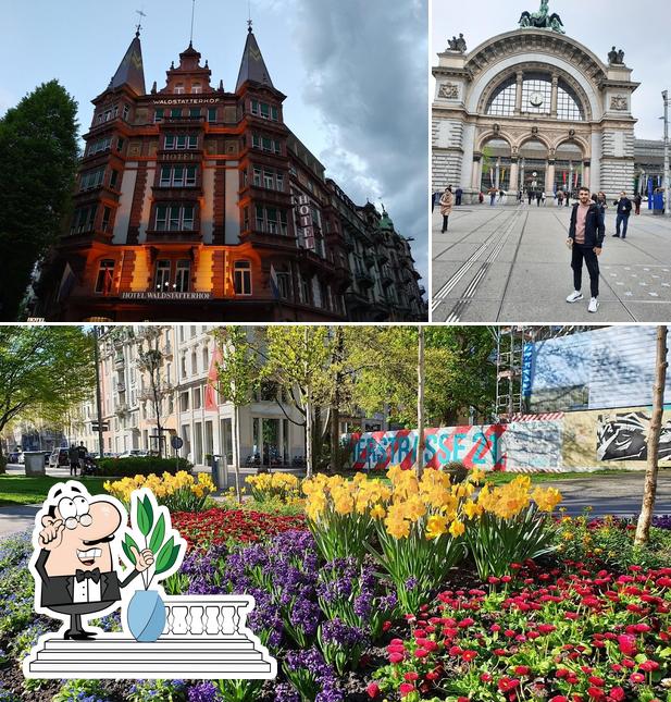 Gli esterni di McDonald’s