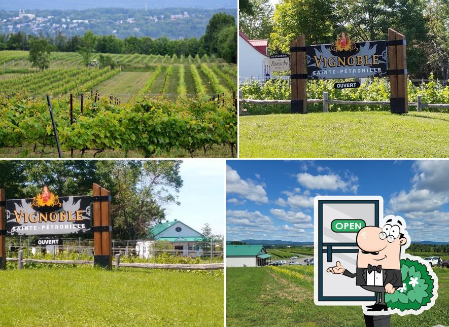 Vignoble Ste-Pétronille - Vignoble & Distillerie