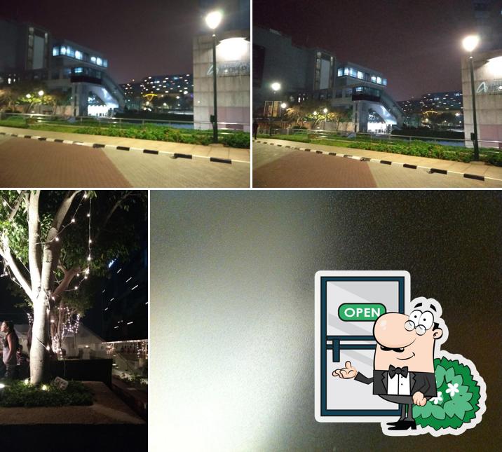 Check out how Tease looks outside