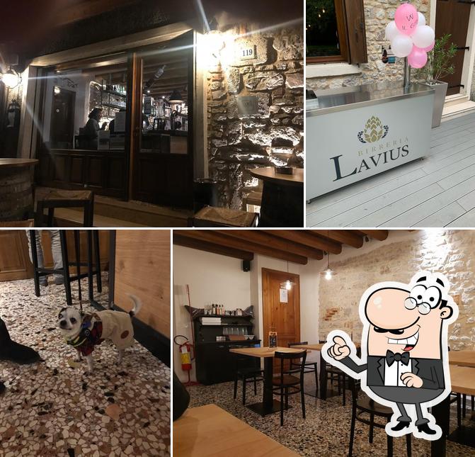 Gli interni di Lavius