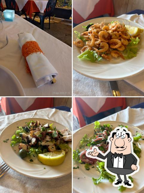 Dai un'occhiata agli interni di Nudibranko