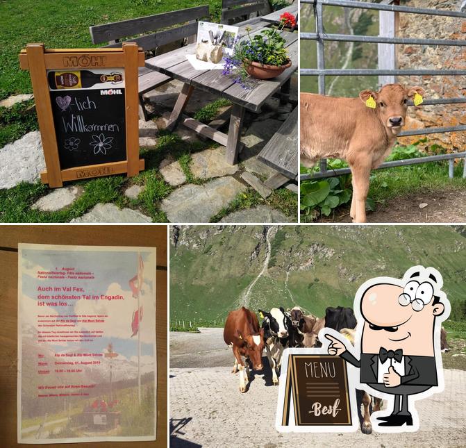 Alp da Segl und Alp Muot Selvas