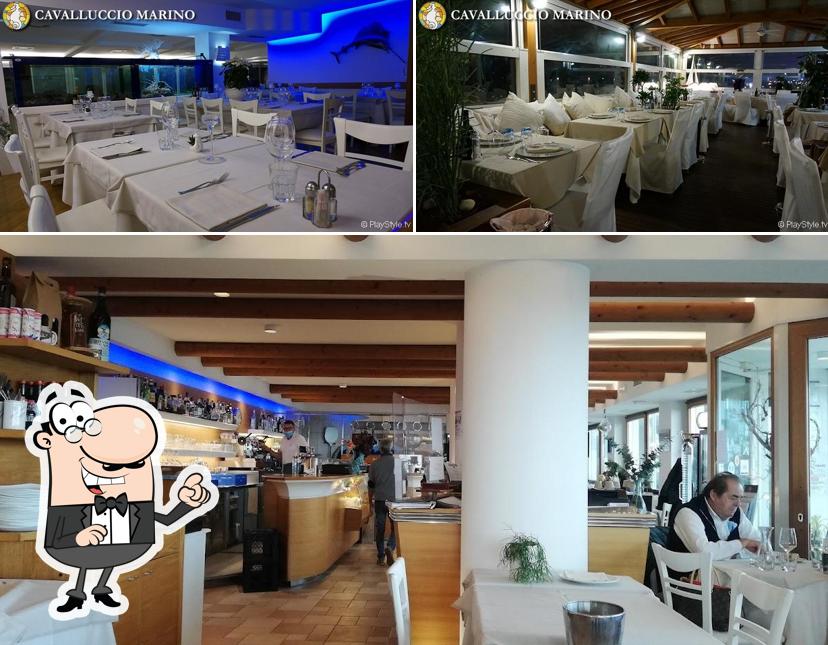 Dai un'occhiata agli interni di Cavalluccio Marino