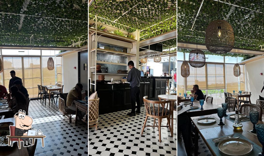 Check out how Shalom Cafe looks inside