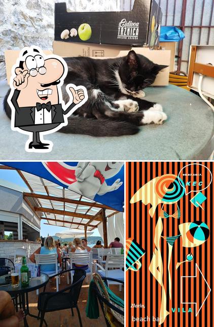 Guarda la immagine che presenta la interni e cibo di Obrt Juka Beach Bar Vila