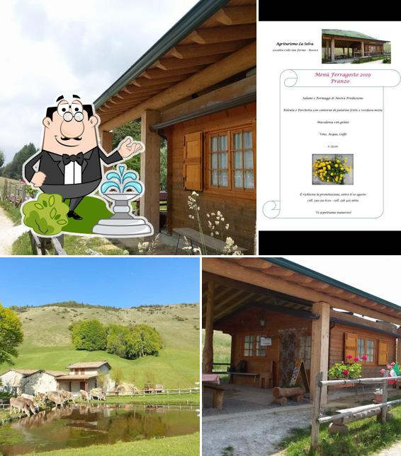 Guarda gli esterni di Agriturismo La Selva