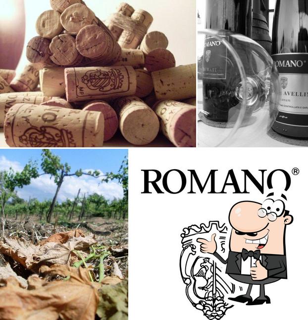 Cantine Romano Nicola