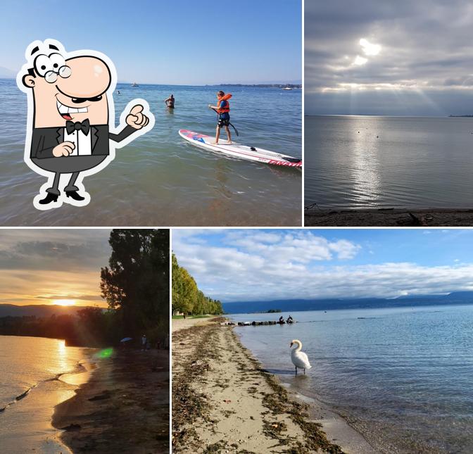 Puoi goderti l'aria fresca da seduto all'esterno di Surfshop
