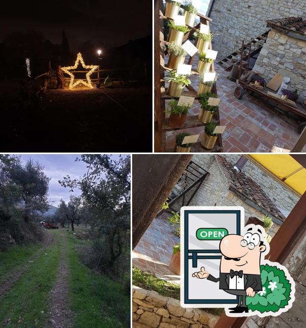 Goditi la vista dall'area esterna di Borgo di Vezzano