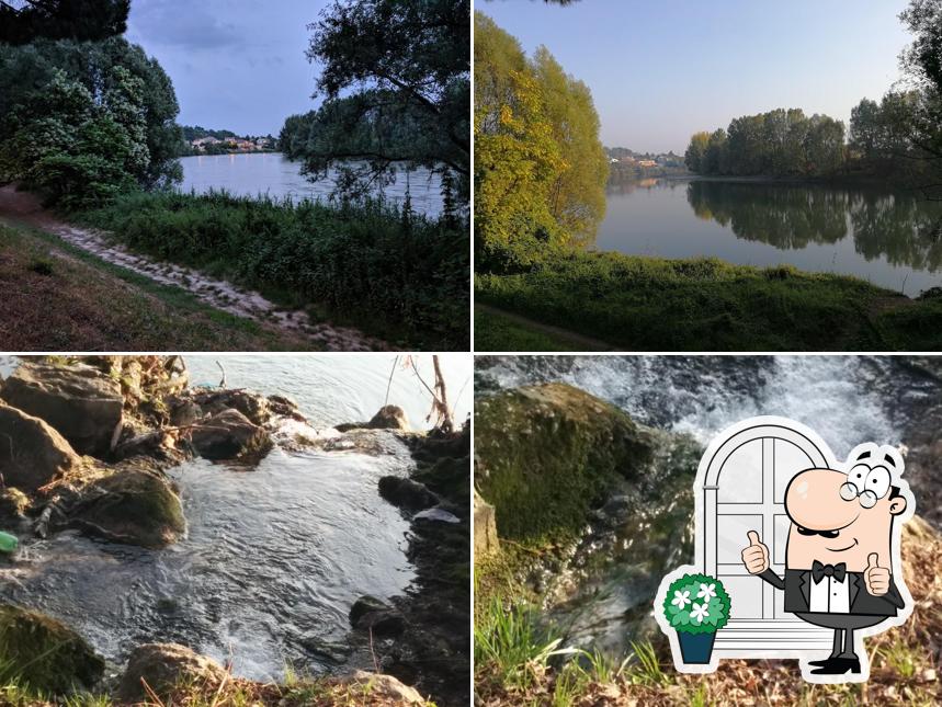 La Parona del Gelato