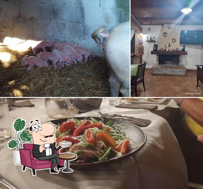 Dai un'occhiata agli interni di Agriturismo La Napoleona