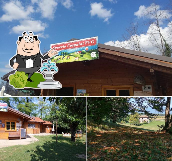 Gli esterni di Cospalat