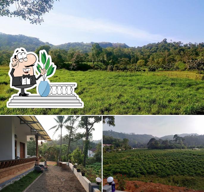 The exterior of Wild Mist Munnar Homestay
