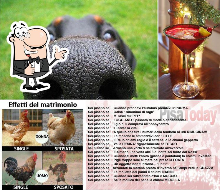 Vedi la immagine di Bar Amico