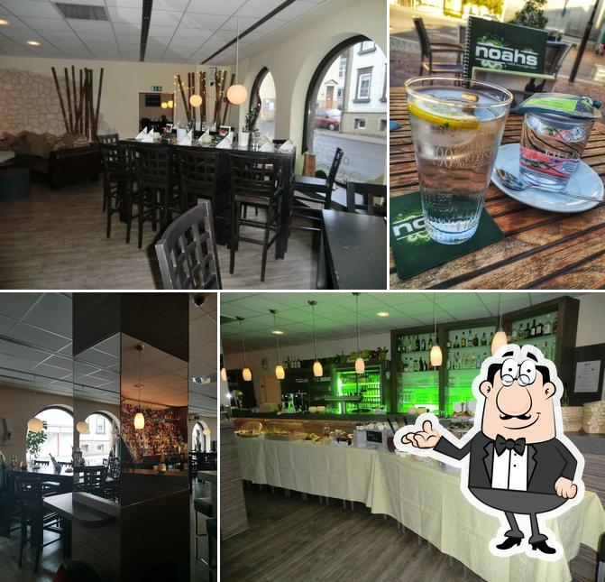 noahs Balingen
