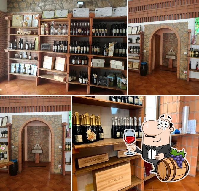 È gradevole godersi un bicchiere di vino a Cantina Sant'Andrea Enoteca e Vendita Vini Latina