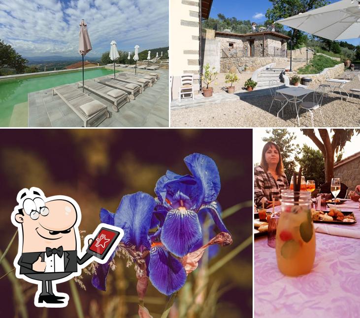 Guarda gli esterni di Agriturismo i Millepini